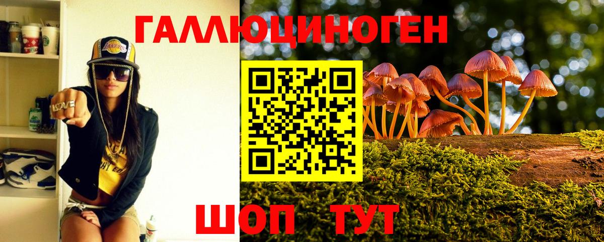 Псилоцибиновые грибы Psilocybe Алексеевка