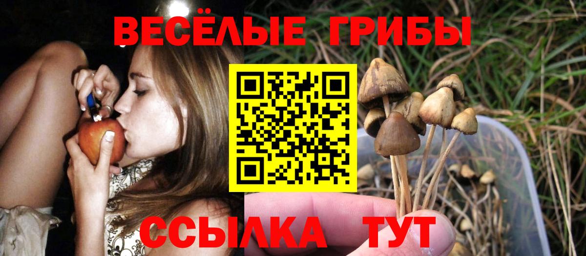 Лсд 25  Каннабис  Амфетамин   КОКАИН  Гашиш  Экстази  Алексеевка  Вход с VPN  Меф   Где купить наркотики? 