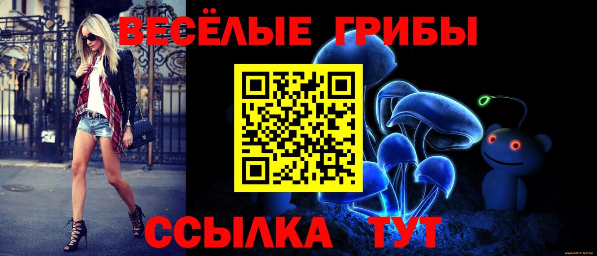 Галлюциногенные грибы мицелий Алексеевка