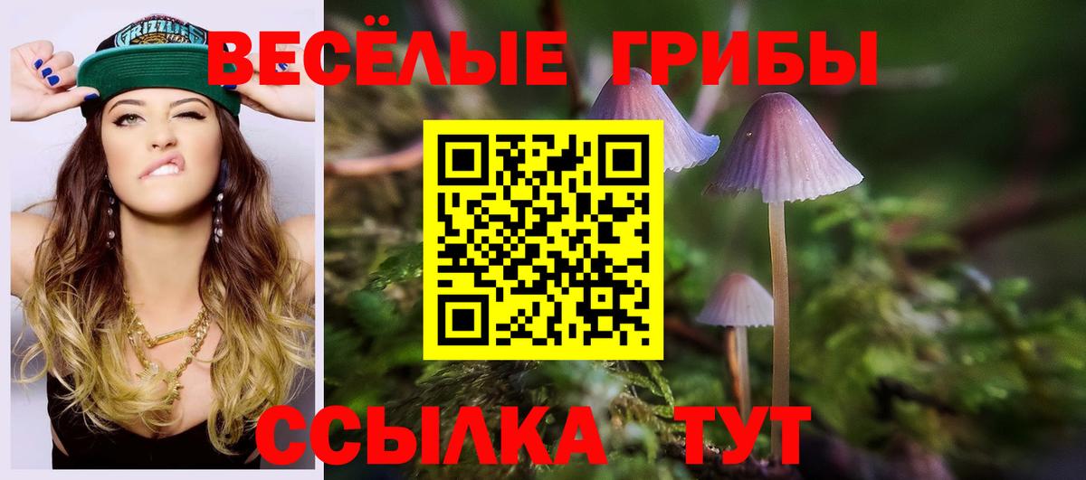 Псилоцибиновые грибы ЛСД  Галлюциногенные грибы Psilocybe  Вход с VPN  Алексеевка 