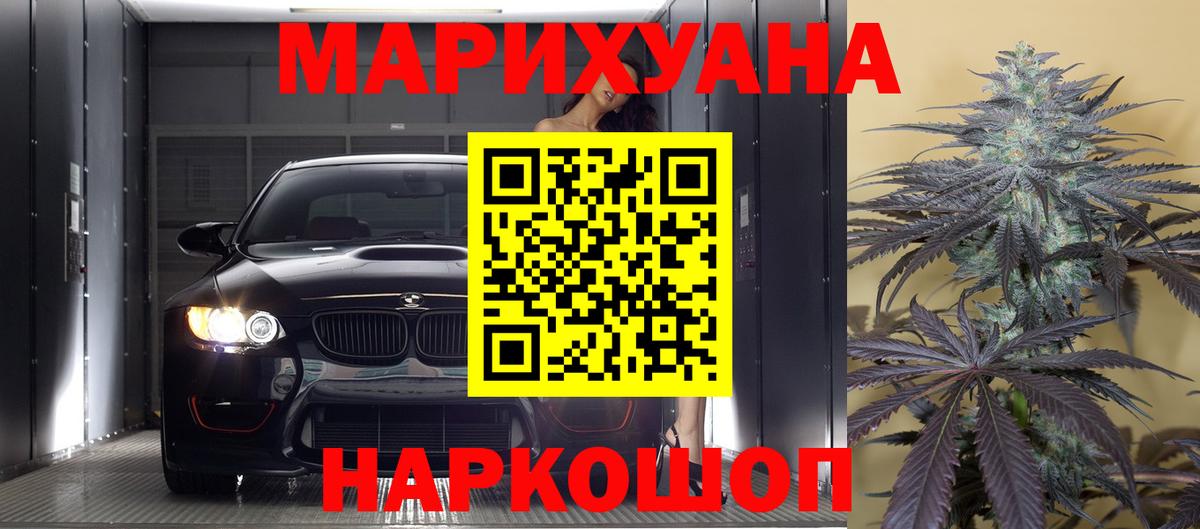 Канабис планчик Алексеевка